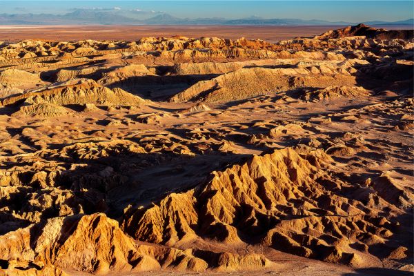 The Essential of Altiplanic Deserts