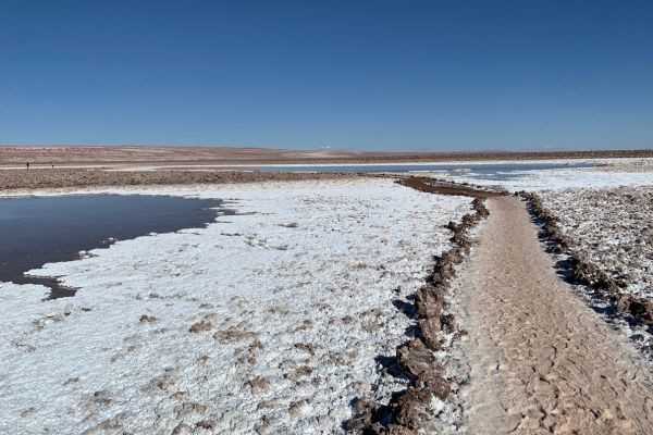 The Essential of Altiplanic Deserts