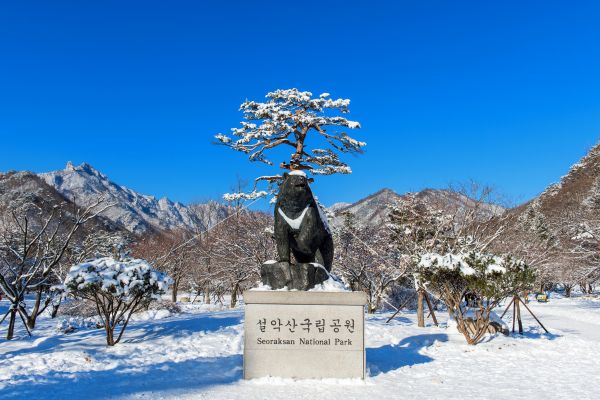 UNESCO Korea and Seoul