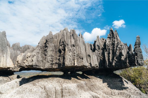 Baobab Lemurs and Tsingy