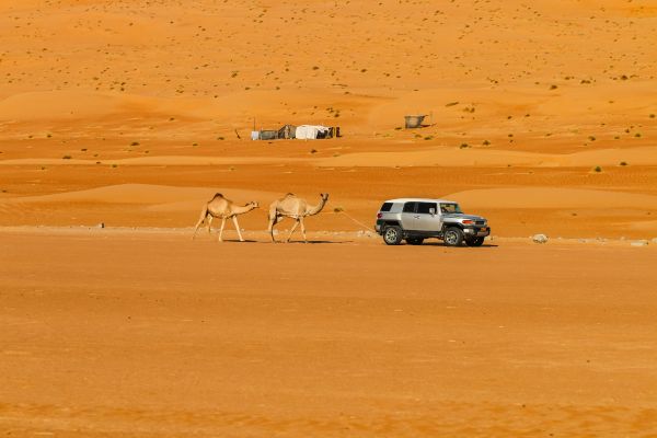 Explore Oman home to an ancient civilization