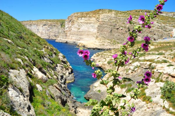Gozo