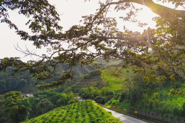 Colombian Adventure: From Medellín to Santa Marta