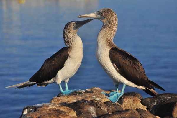Galapagos Bike Tour