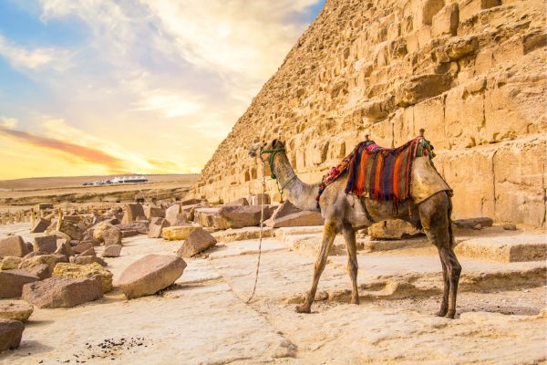 Amman City Package