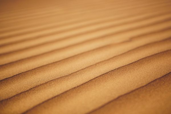 Explore Oman home to an ancient civilization