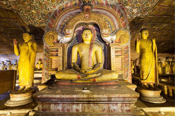 The Sri Lanka Tour