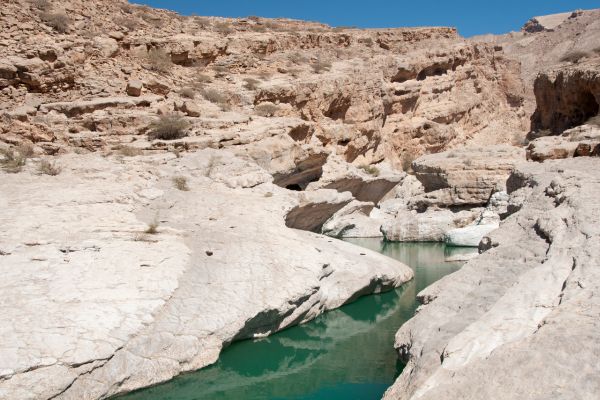 Desert Safari of Oman