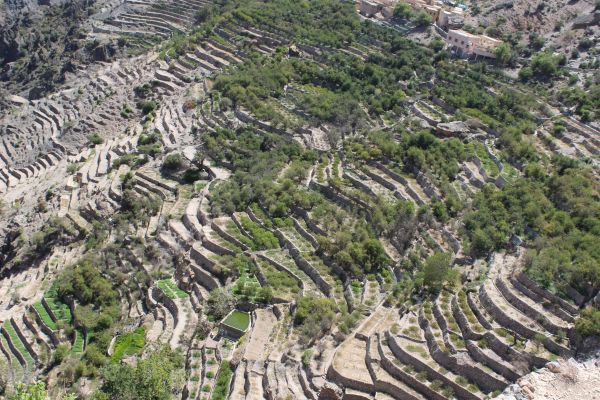 Explore Oman home to an ancient civilization