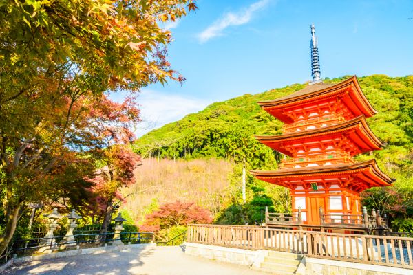 Wonderful Japan