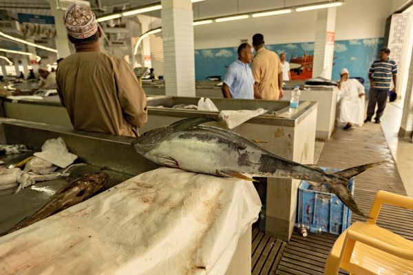 Explore Oman a crossroads between three continents and four seas