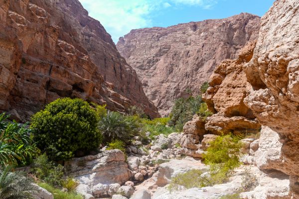 Explore Oman home to an ancient civilization