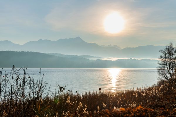 Best of Austria