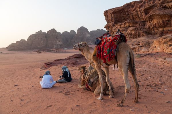 Explore Charismatic Jordan