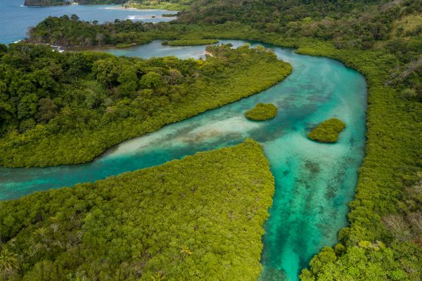 Panama Authentic Immersion
