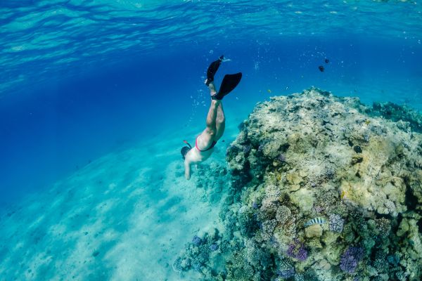 Ocean to Ocean Journey