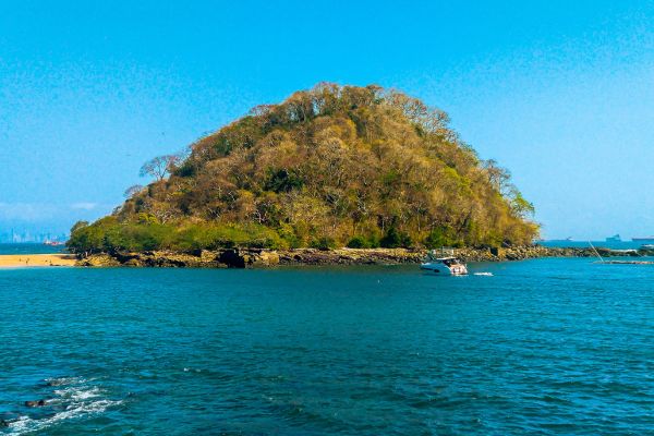 Panama Authentic Immersion