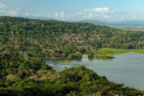Panama Authentic Immersion